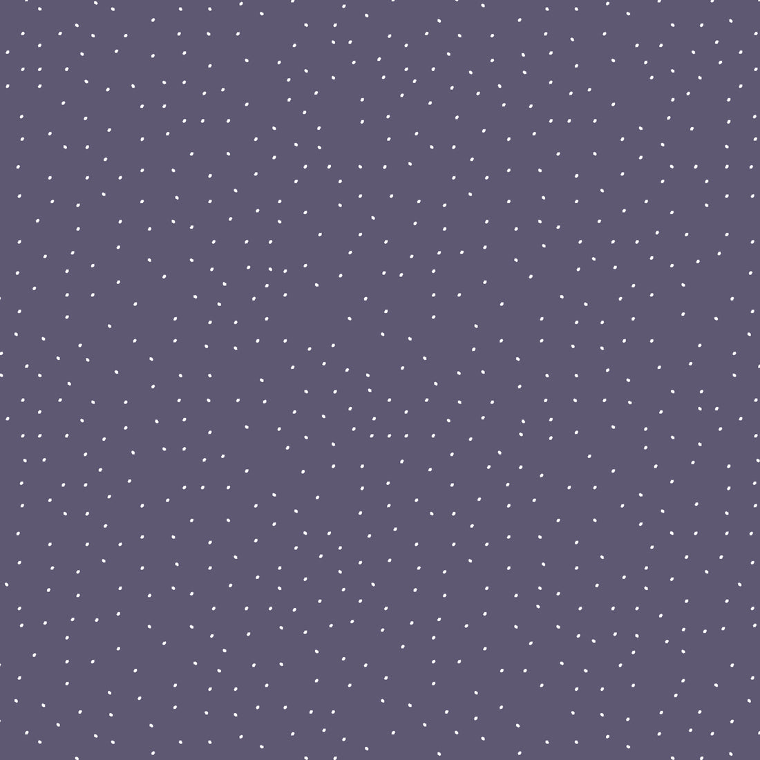 VORBESTELLUNG!! Dotties Purple Bio Sweat *Laternen 2026 Serie* - Staghorn Eigenproduktion
