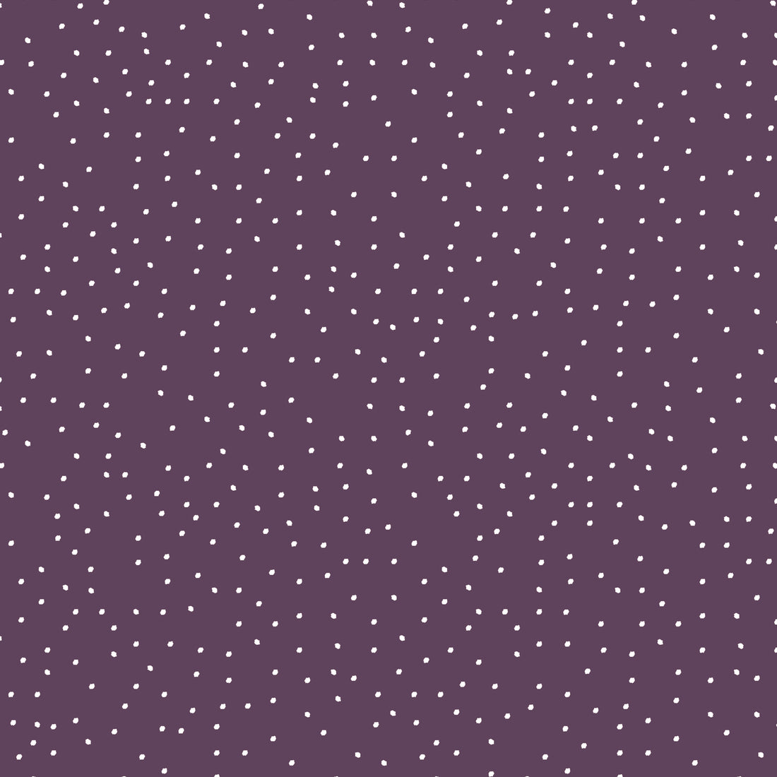 VORBESTELLUNG!! Dotties Purple Jersey *Cutie Herbst 2026 Serie* - Staghorn Eigenproduktion