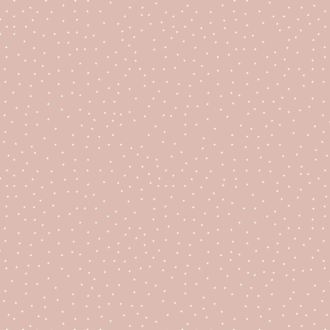VORBESTELLUNG!! Dotties Beige Bio Sweat *Winter 2026 Serie* - Staghorn Eigenproduktion