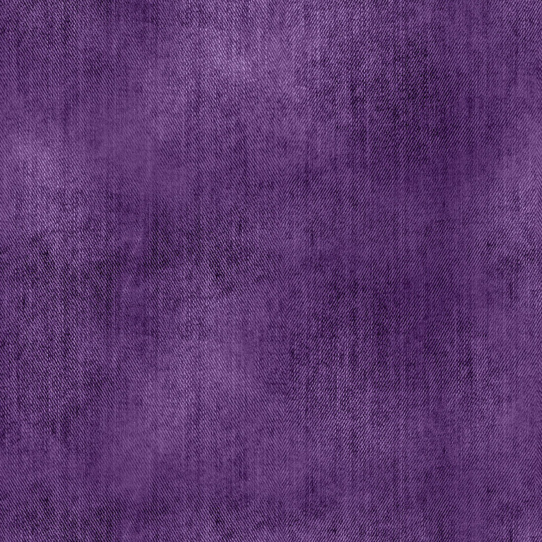 VORBESTELLUNG!! Jeans Optik Purple Bio Sweat *Design Days - Halloween* - Staghorn Eigenproduktion