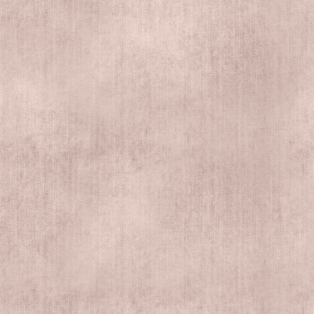 VORBESTELLUNG!! Jeans Optik Beige Bio Sweat *Design Days* - Staghorn Eigenproduktion