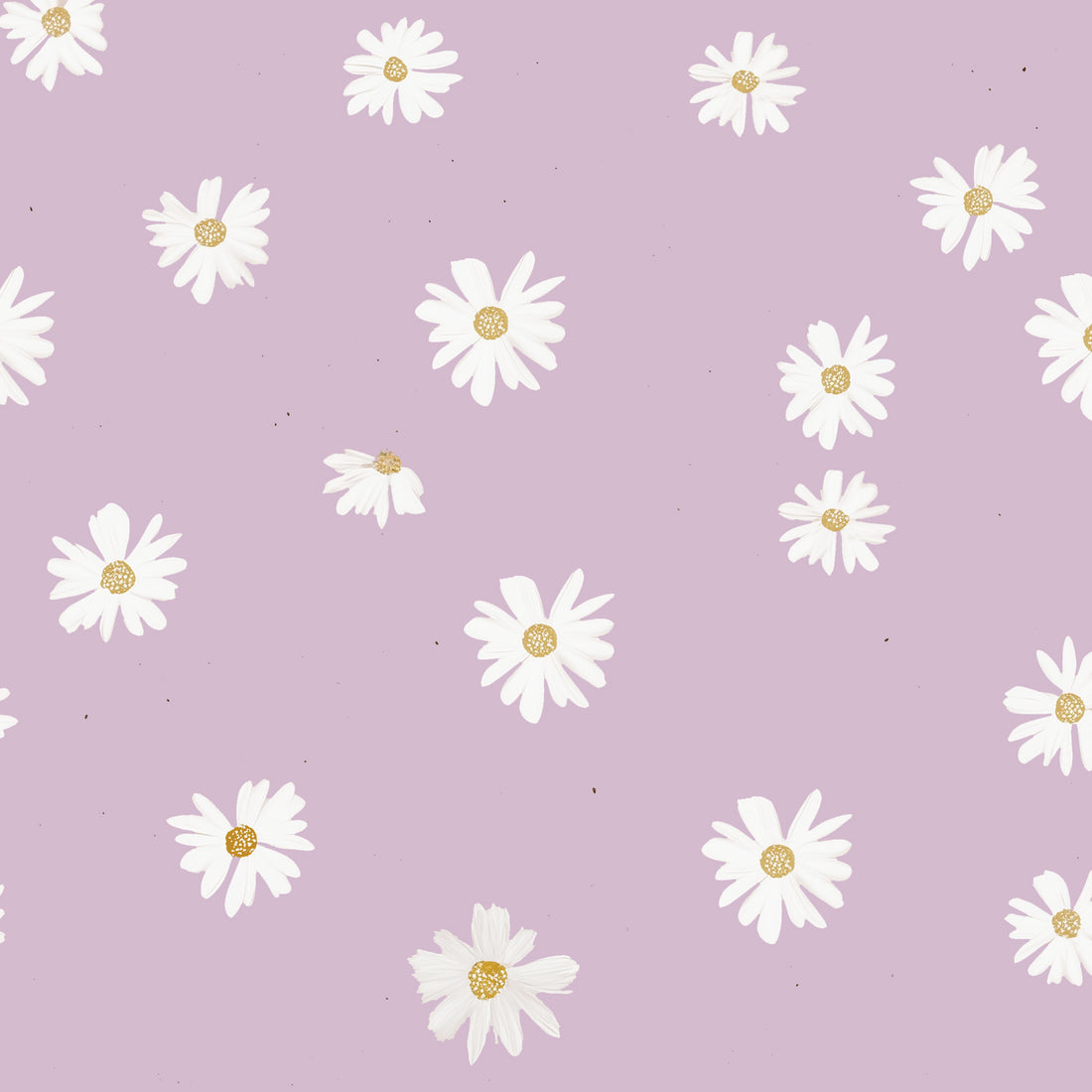 Daisies Flieder Jersey *Cuties ll 2026 Serie* - Staghorn Eigenproduktion