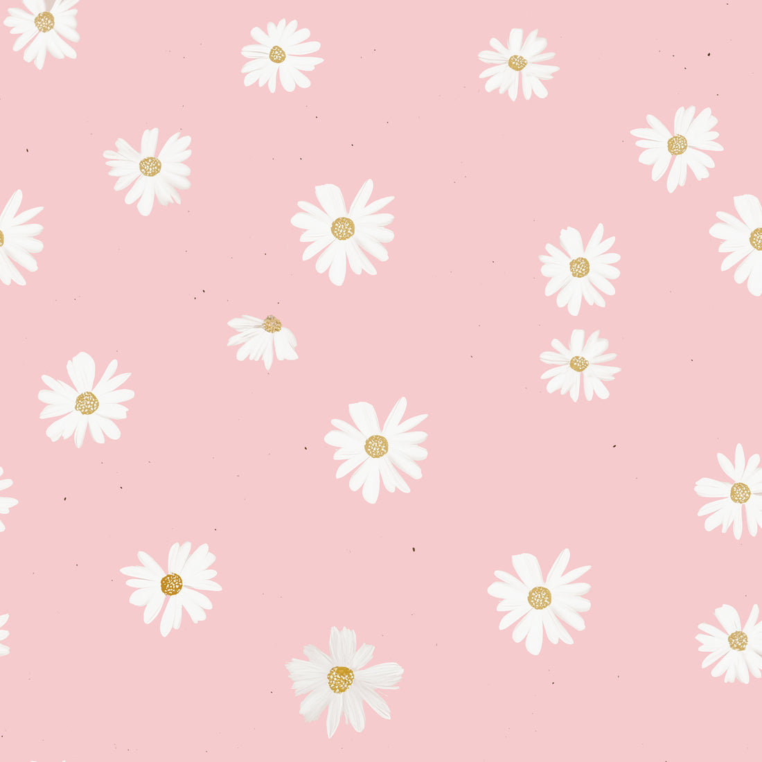 Daisies Rosa Jersey *Cuties ll 2026 Serie* - Staghorn Eigenproduktion