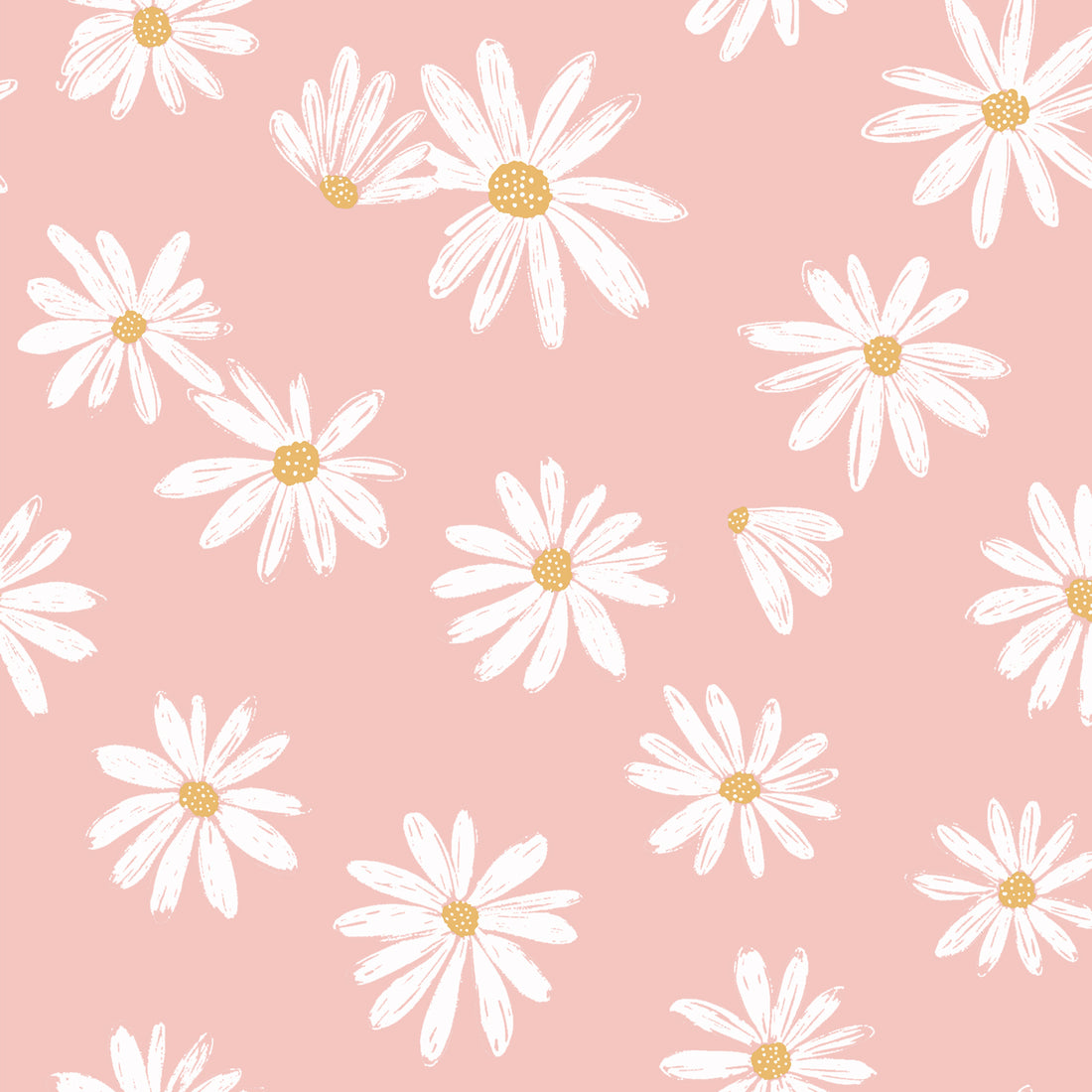 Rosa Daisies Jersey *Cuties 2026 Serie* - Staghorn Eigenproduktion