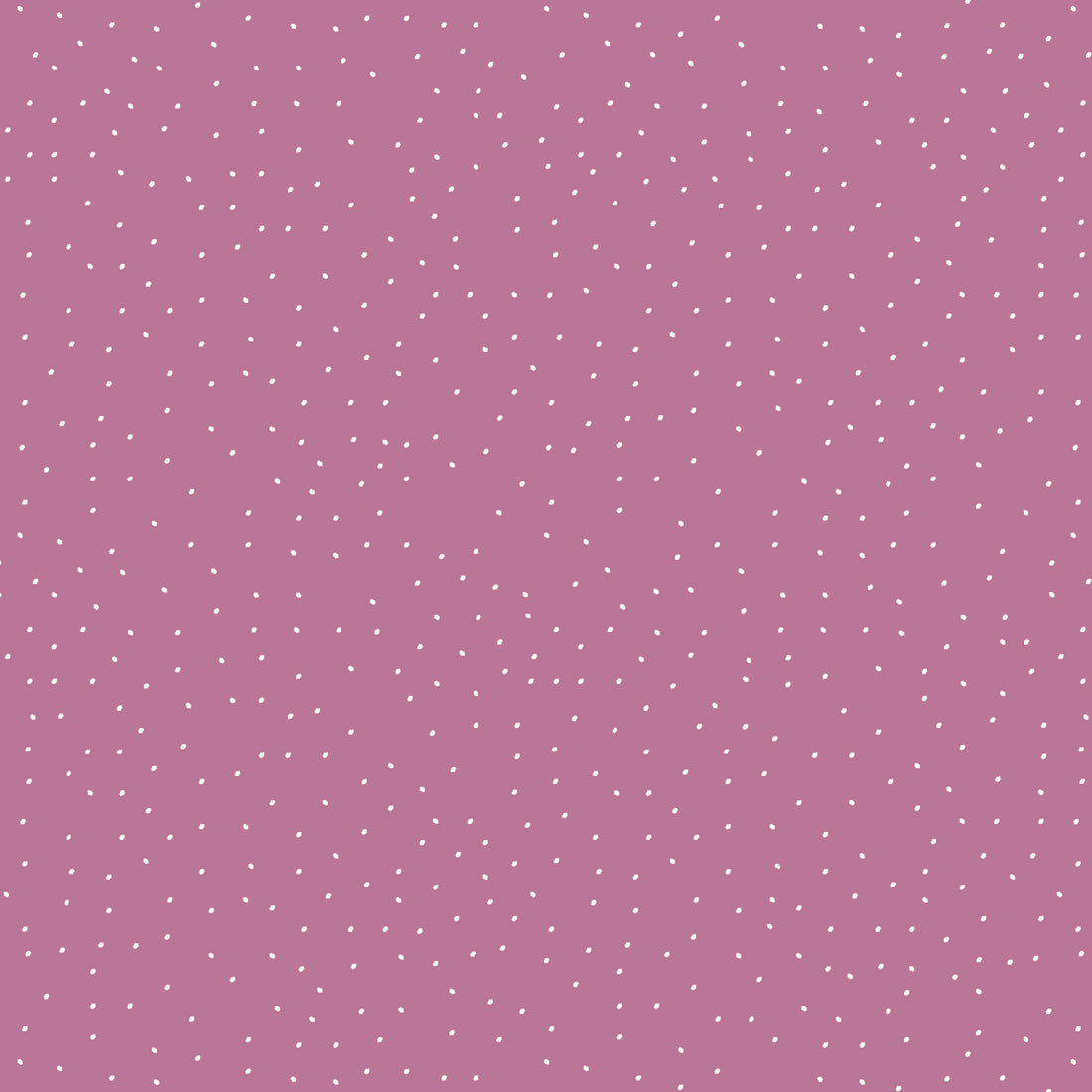 VORBESTELLUNG!! Dotties Berry Bio Sweat *Winter 2026 Serie* - Staghorn Eigenproduktion