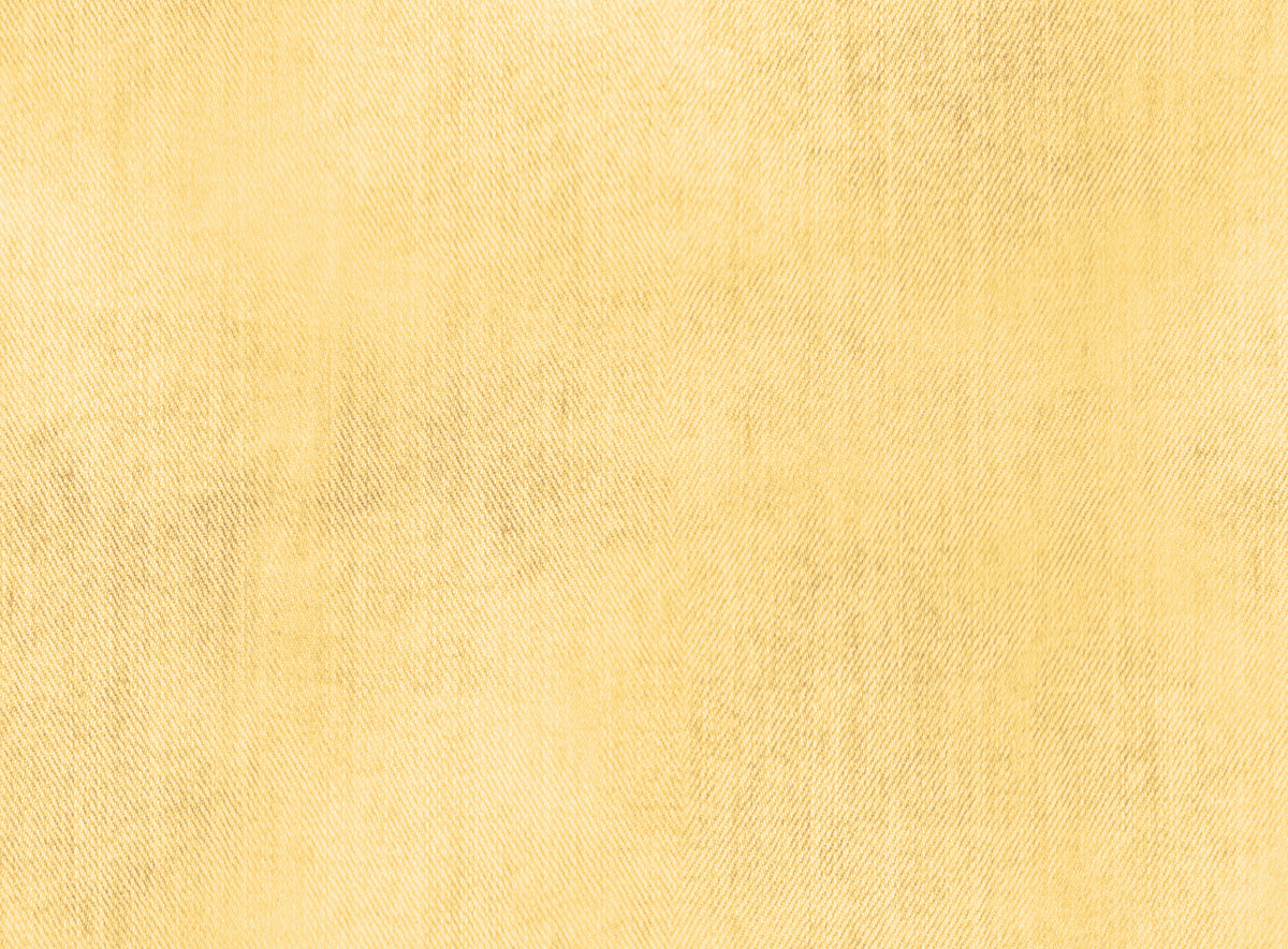 *Jeans Optik Lemon* Bio Jersey *Ostern 2026 Serie* Eigenproduktion