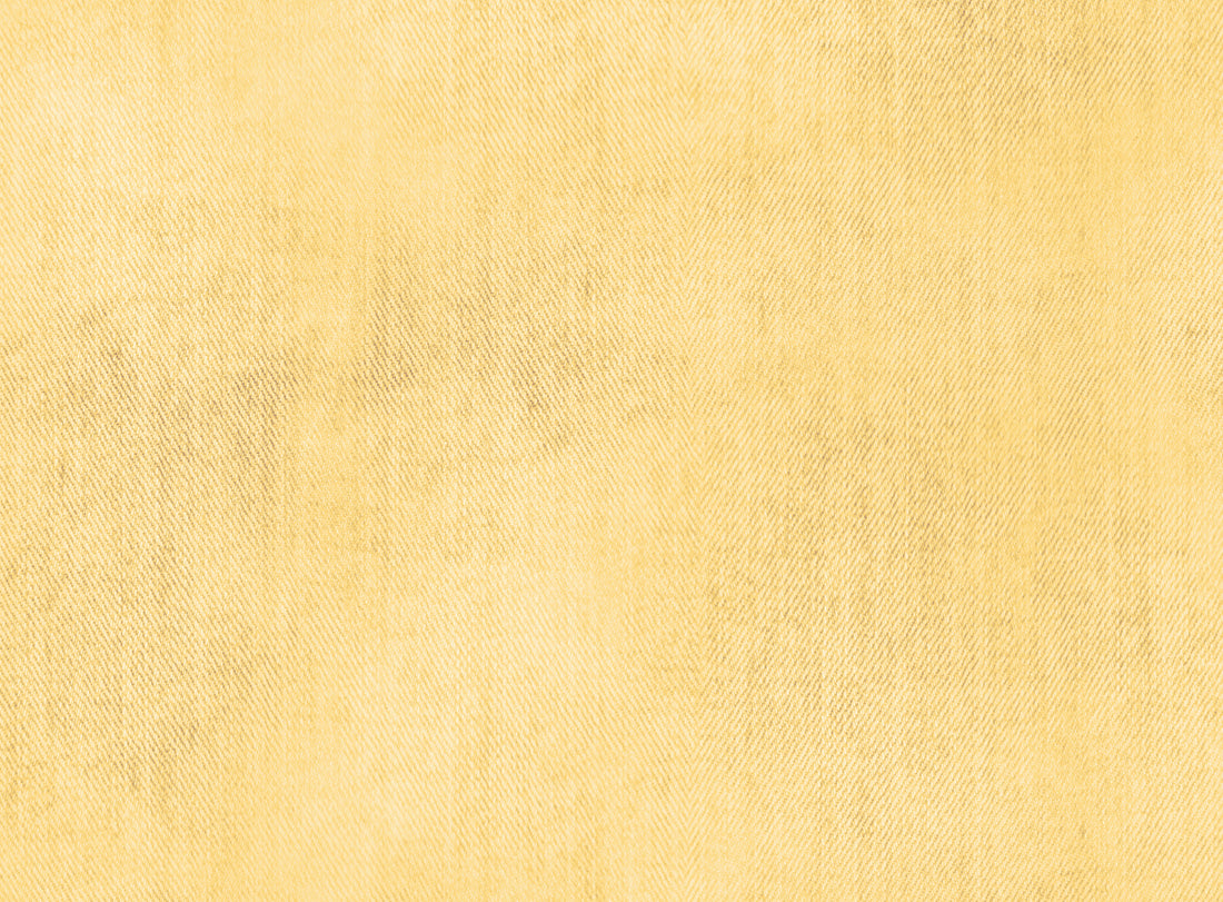 Jeans Optik Lemon Bio Jersey *Cutie Pies Serie* - Staghorn Eigenproduktion