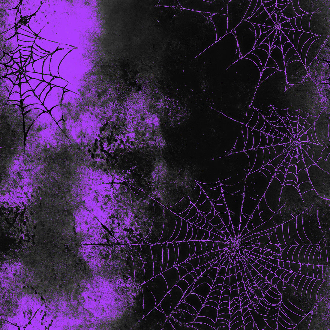VORBESTELLUNG! Spiderweb Bio Sweat *Halloween 2026 Serie* - Staghorn Eigenproduktion