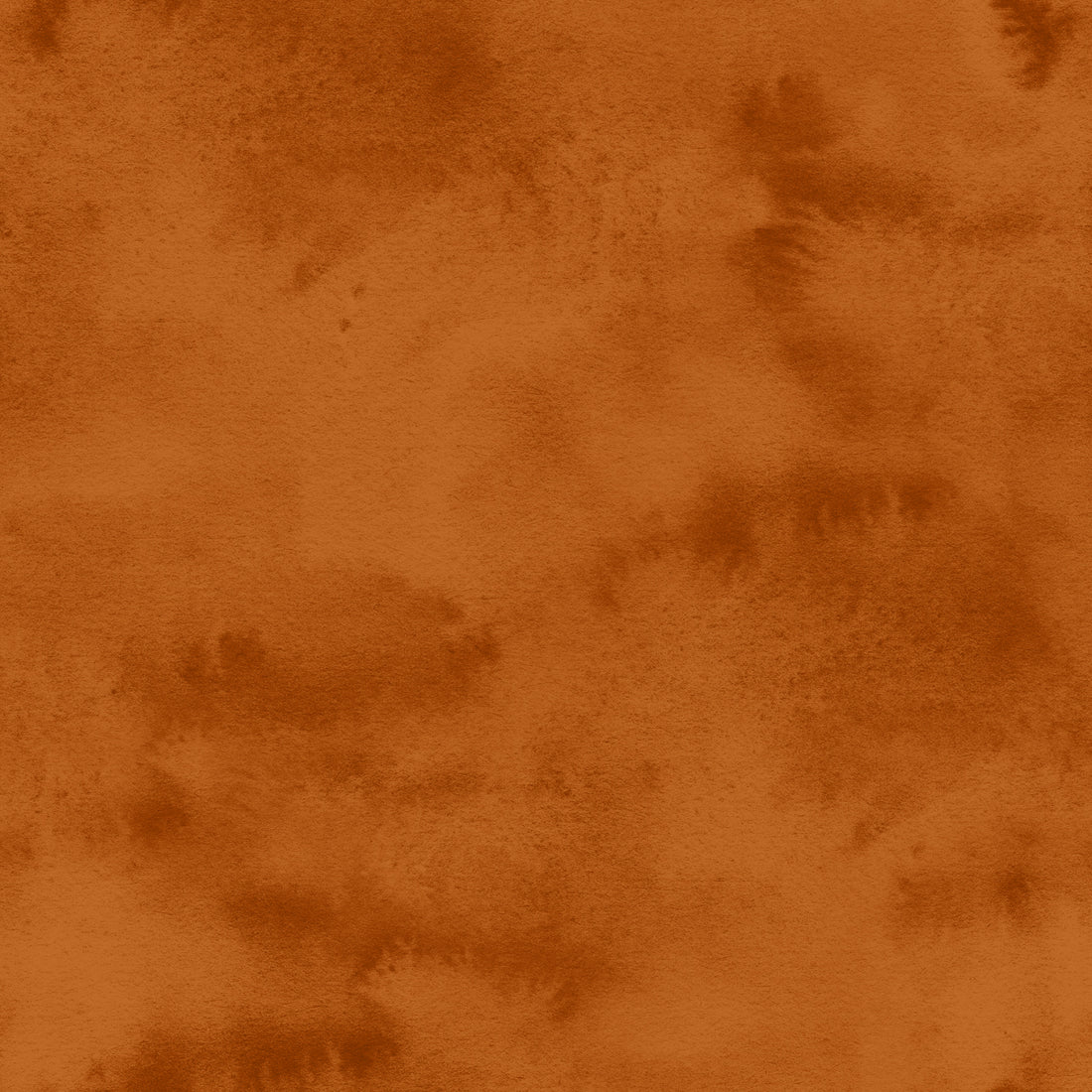 VORBESTELLUNG!! Watercolor Bronze Bio Sweat *Herbst 2026 Serie* - Staghorn Eigenproduktion